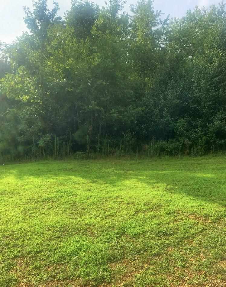 115 Mindy Road Waynesboro, TN 38485 - Photo 3 of 16 Gallery Image 3