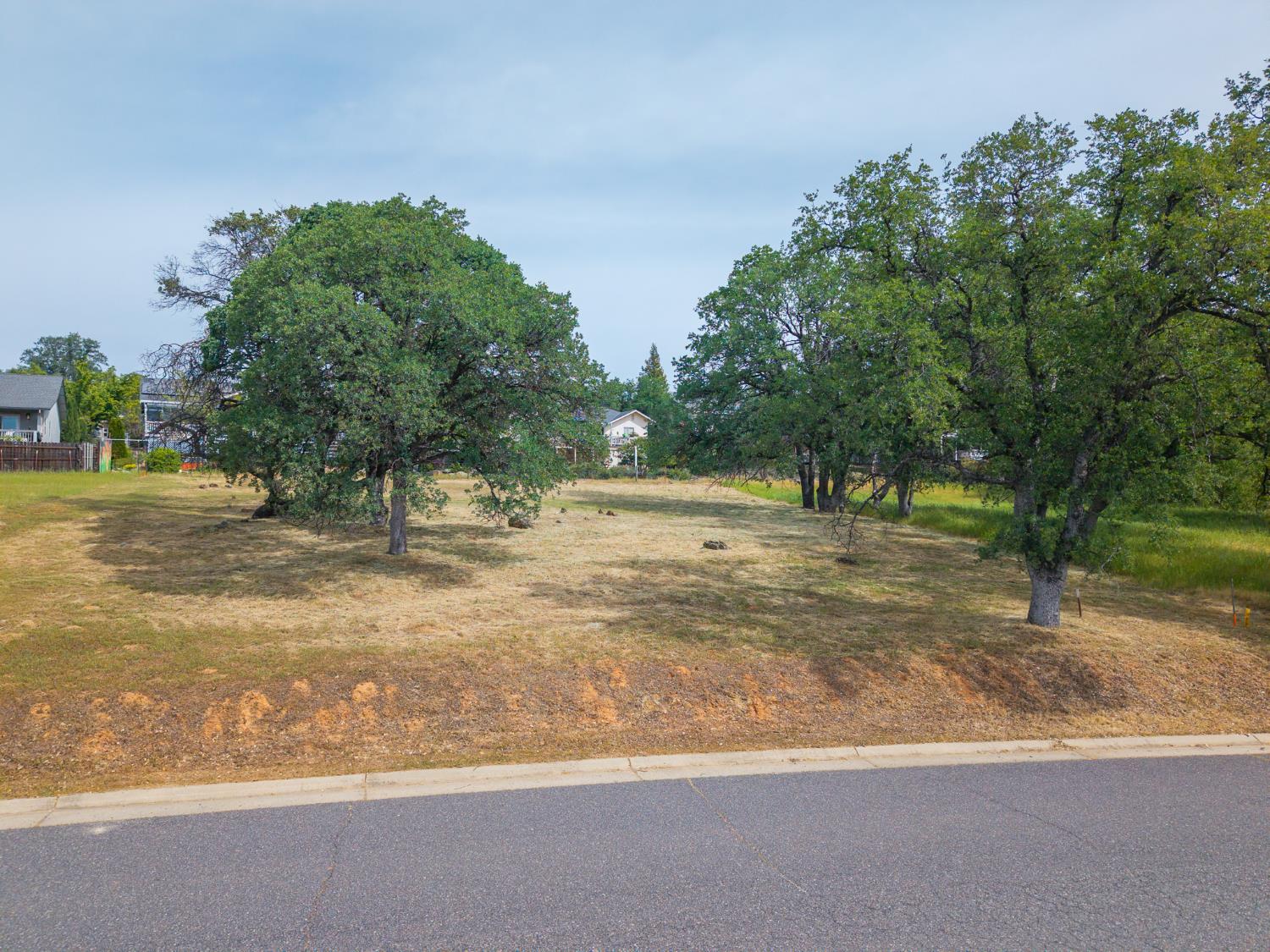 264 Blair Mine Road Angels Camp, CA 95222 - Photo 5 of 26 a view of a yard with a tree