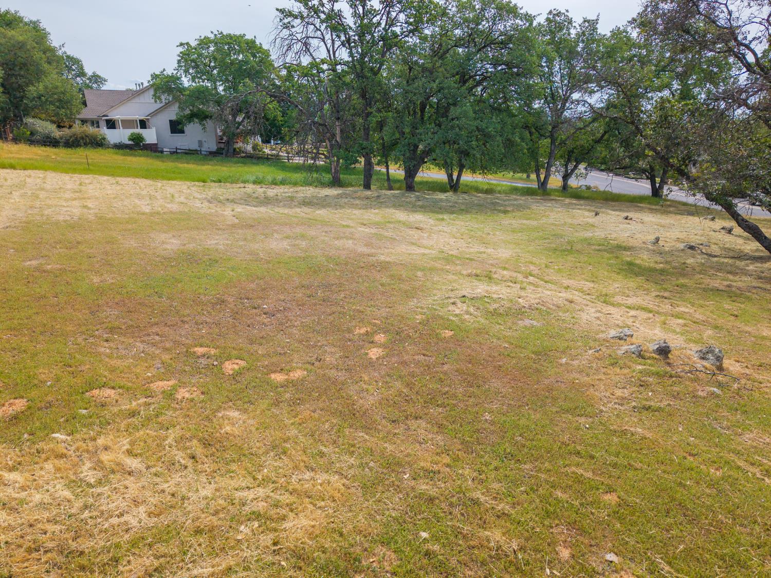 264 Blair Mine Road Angels Camp, CA 95222 - Photo 6 of 26 a view of a yard with a trees