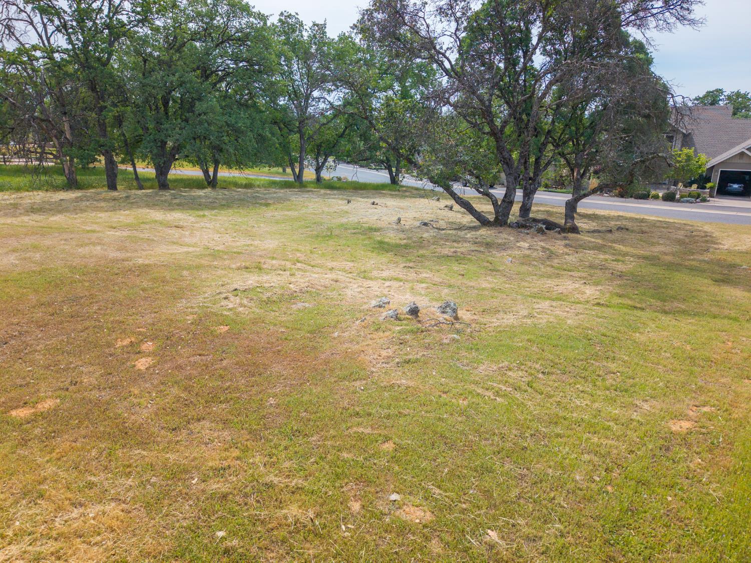 264 Blair Mine Road Angels Camp, CA 95222 - Photo 7 of 26 a view of a yard with trees