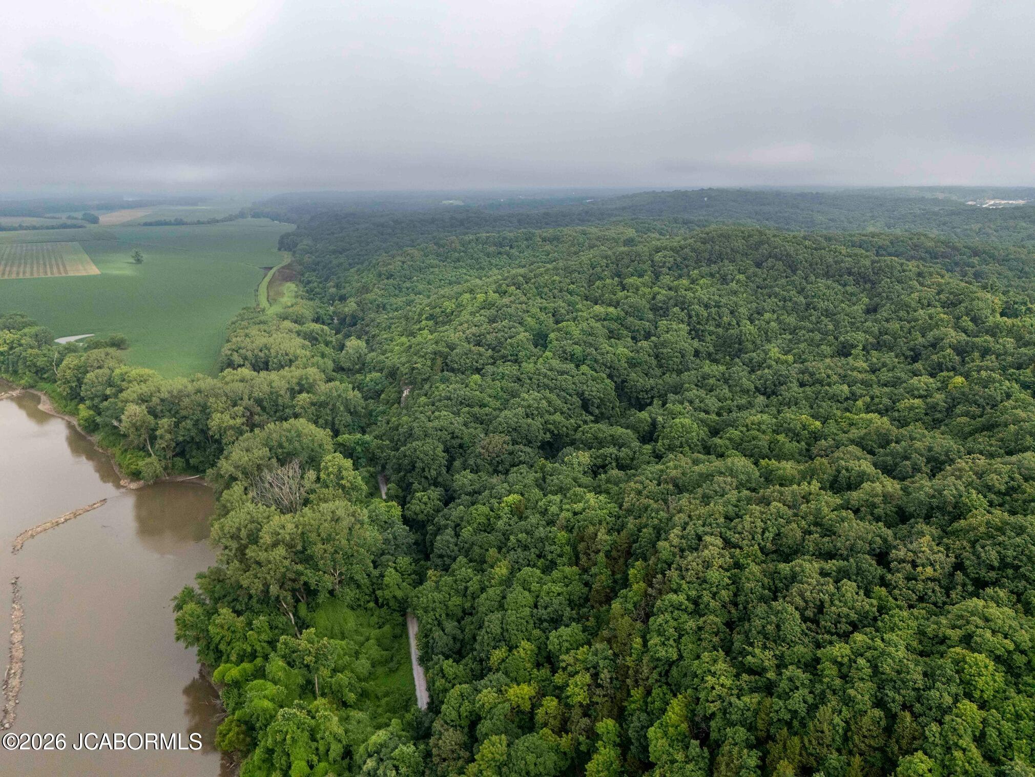 Tbd Talley Road Hartsburg, MO 65039 - Photo 62 of 106