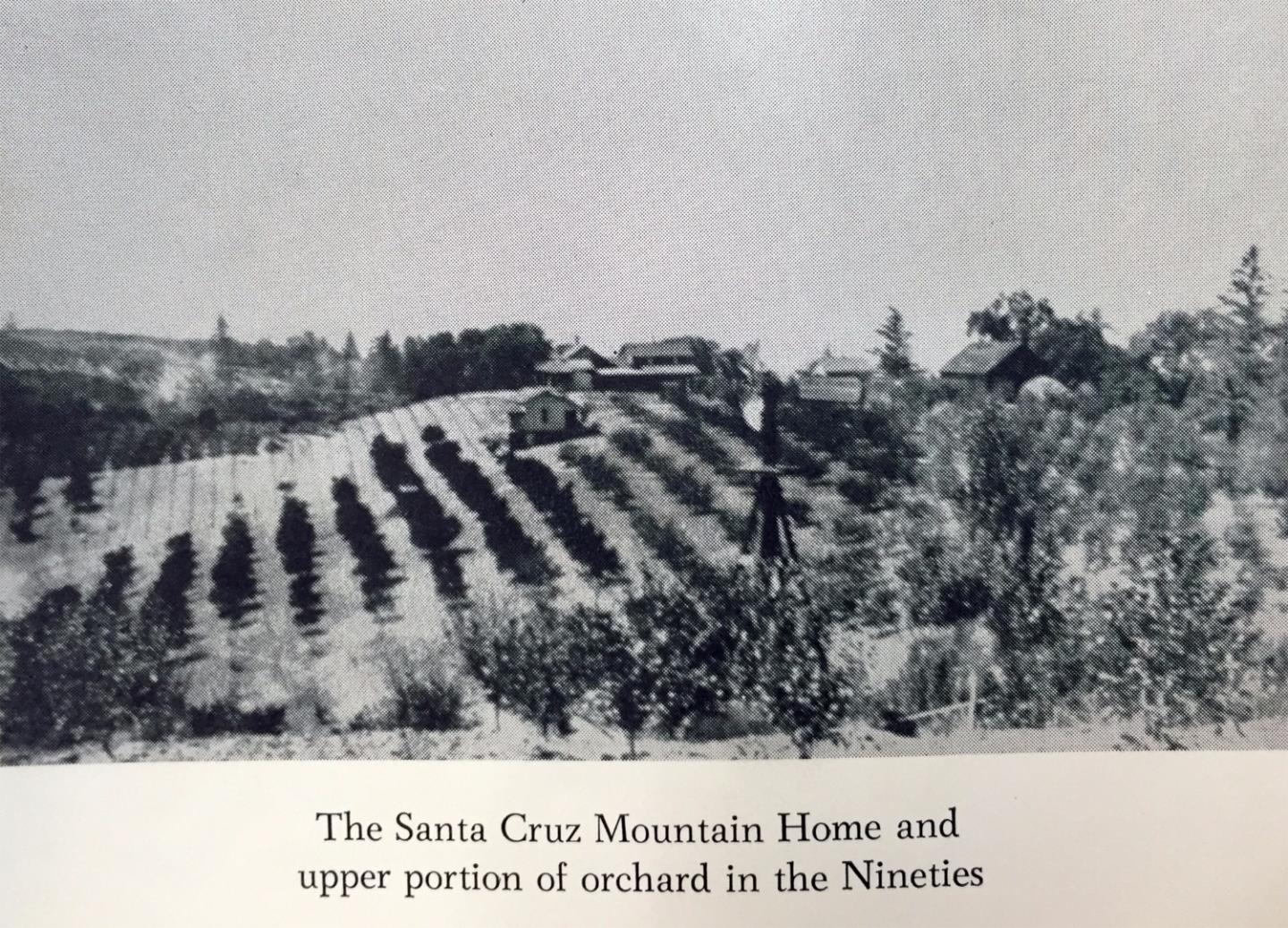 25786 Adams Road Los Gatos, CA 95033 - Photo 7 of 10 Gallery Image 7