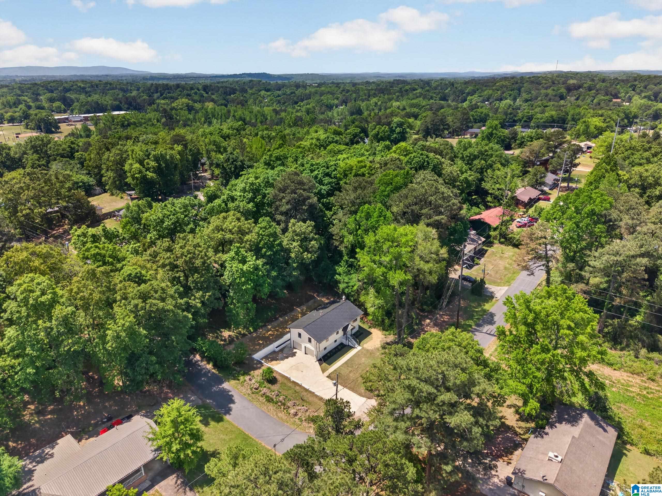 418 Hilltop Road Weaver, AL 36277 - Photo 10 of 42