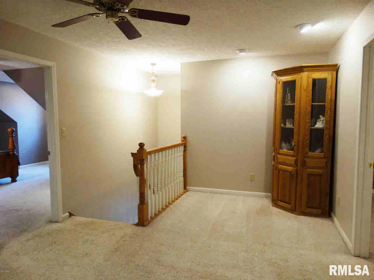 12352 South Park Road Benton, IL 62812 - Photo 25 of 57 Gallery Image 25
