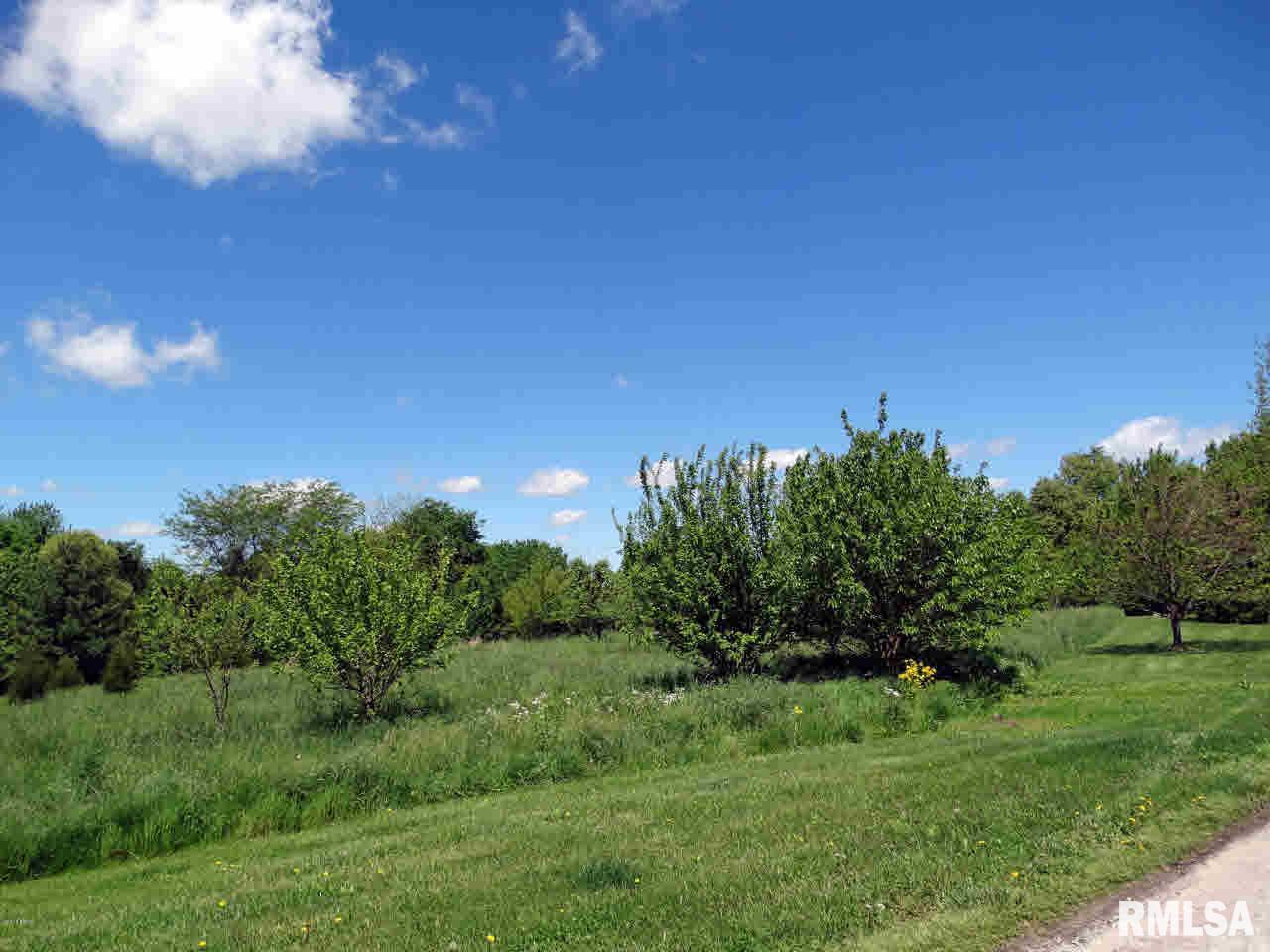 12352 South Park Road Benton, IL 62812 - Photo 44 of 57 Gallery Image 44