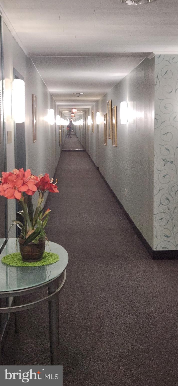 1375 Pershing Boulevard, Unit 601 Reading, PA 19607 - Photo 11 of 20 Hallway leading to unit