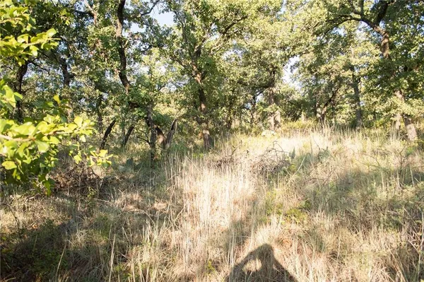 $79,000 | 1020 Post Oak Road, Gordon, TX 76453