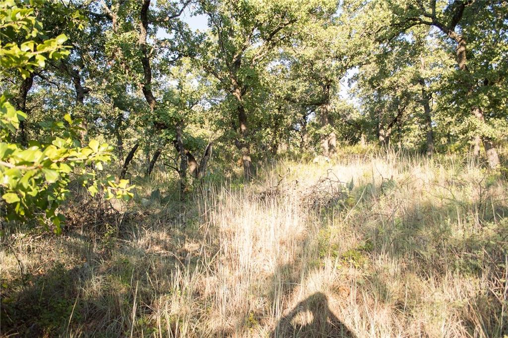 1020 Post Oak Road Gordon, TX 76453 - Photo 13 of 36