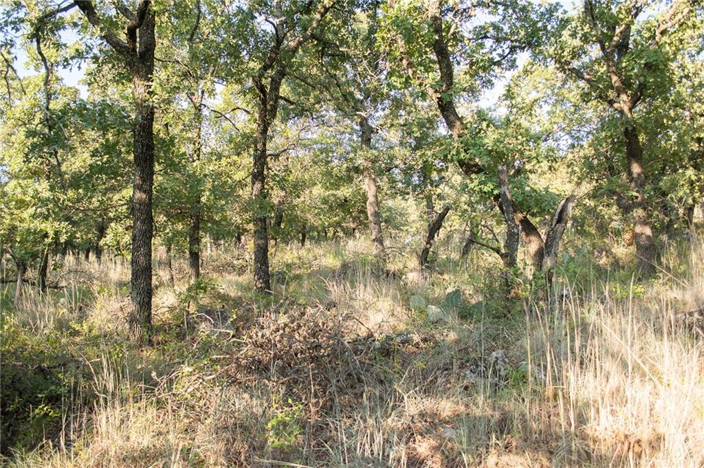 1020 Post Oak Road Gordon, TX 76453 - Photo 14 of 36