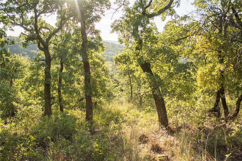 1020 Post Oak Road Gordon, TX 76453 - Photo 15 of 36