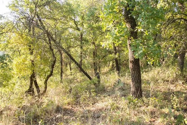 $79,000 | 1020 Post Oak Road, Gordon, TX 76453