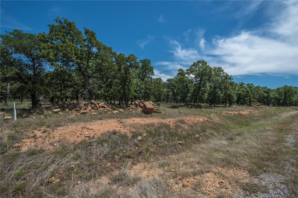 1020 Post Oak Road Gordon, TX 76453 - Photo 17 of 36