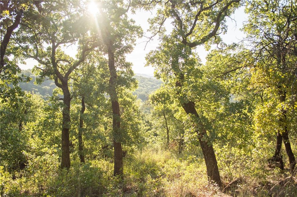 1020 Post Oak Road Gordon, TX 76453 - Photo 18 of 36