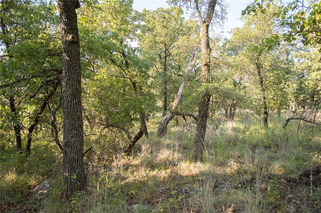 1020 Post Oak Road Gordon, TX 76453 - Photo 20 of 36