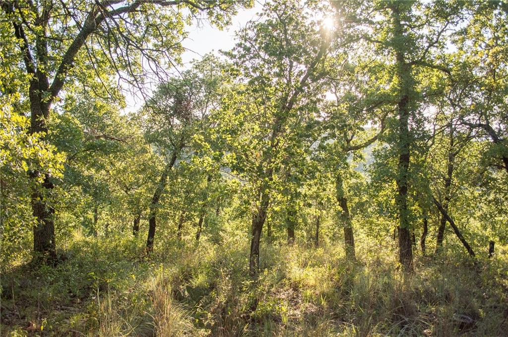 1020 Post Oak Road Gordon, TX 76453 - Photo 21 of 36