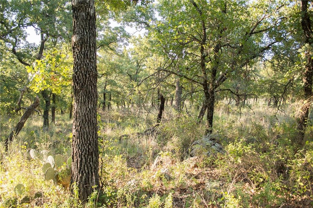 1020 Post Oak Road Gordon, TX 76453 - Photo 22 of 36