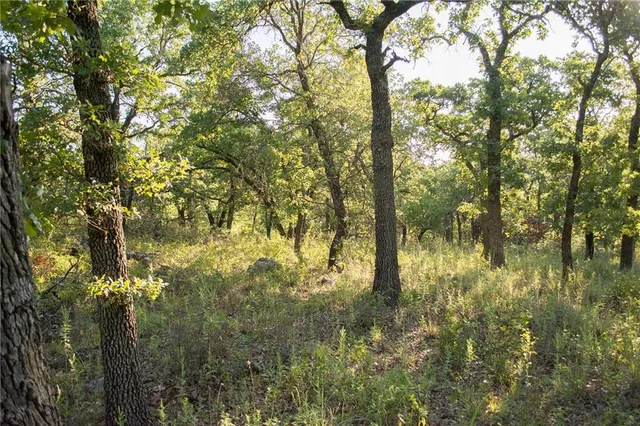 $79,000 | 1020 Post Oak Road, Gordon, TX 76453