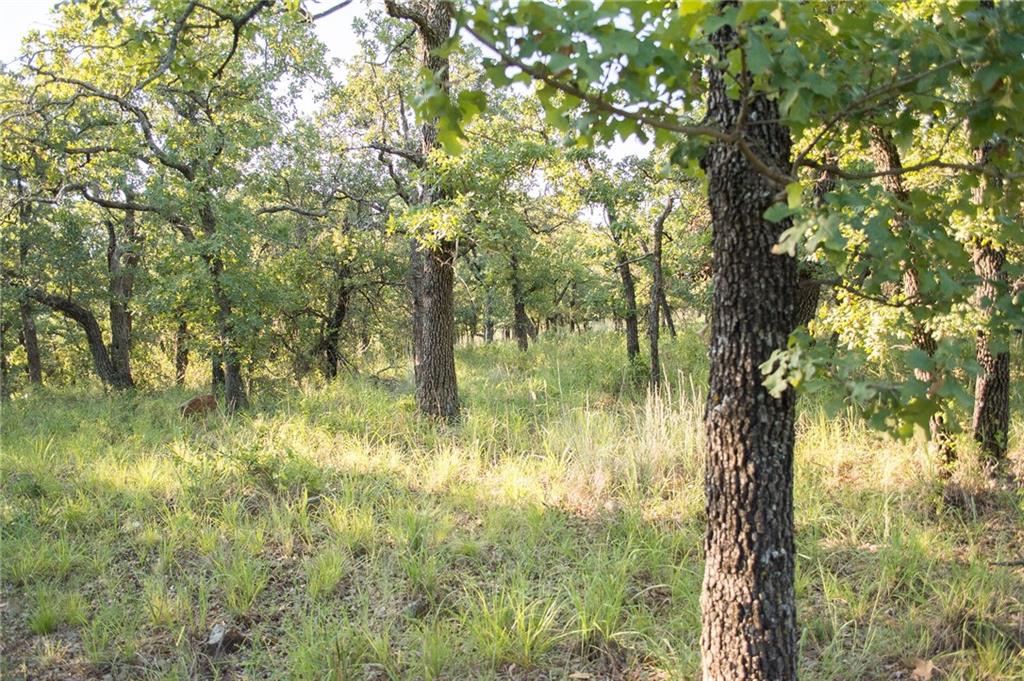 1020 Post Oak Road Gordon, TX 76453 - Photo 24 of 36