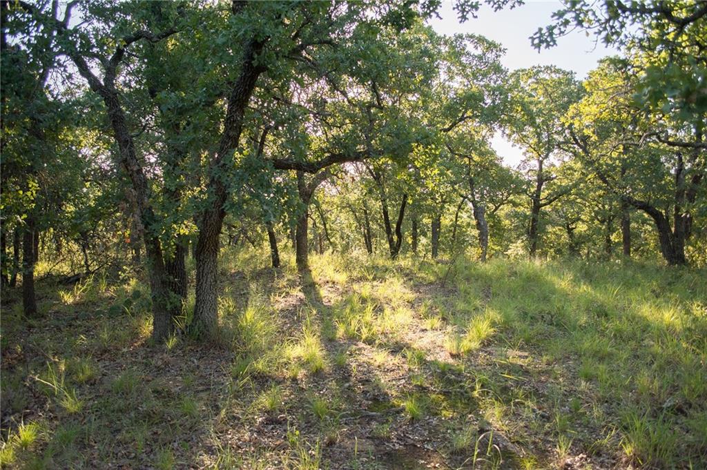 1020 Post Oak Road Gordon, TX 76453 - Photo 26 of 36