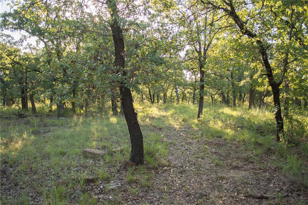 1020 Post Oak Road Gordon, TX 76453 - Photo 28 of 36