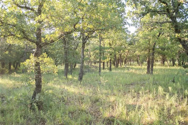 $79,000 | 1020 Post Oak Road, Gordon, TX 76453