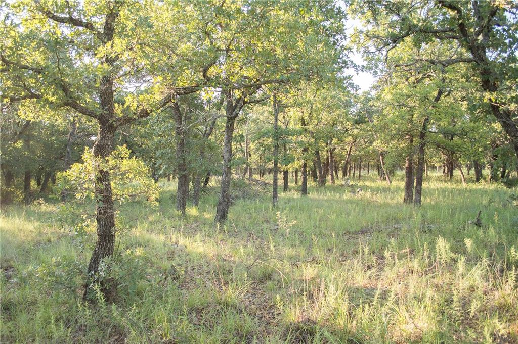 1020 Post Oak Road Gordon, TX 76453 - Photo 34 of 36