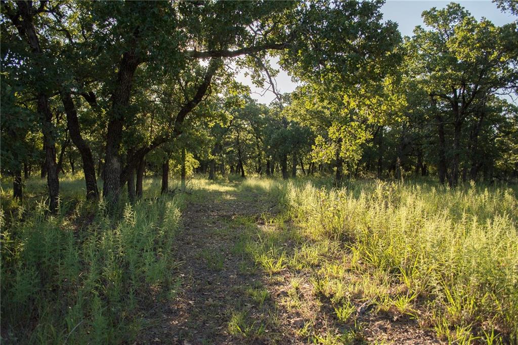 1020 Post Oak Road Gordon, TX 76453 - Photo 36 of 36