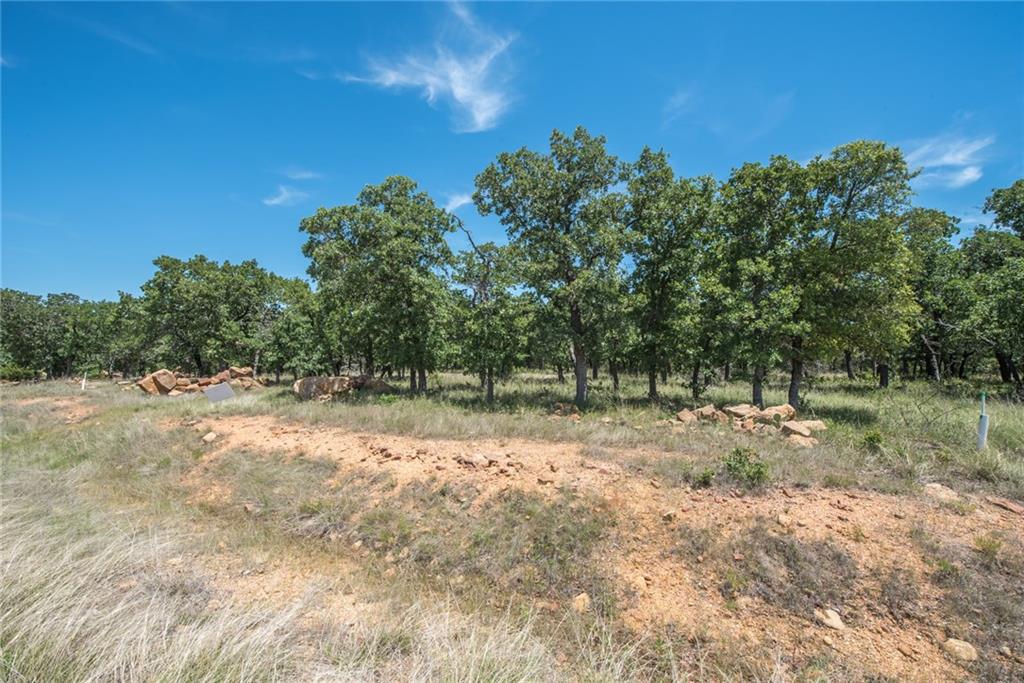 1020 Post Oak Road Gordon, TX 76453 - Photo 7 of 36
