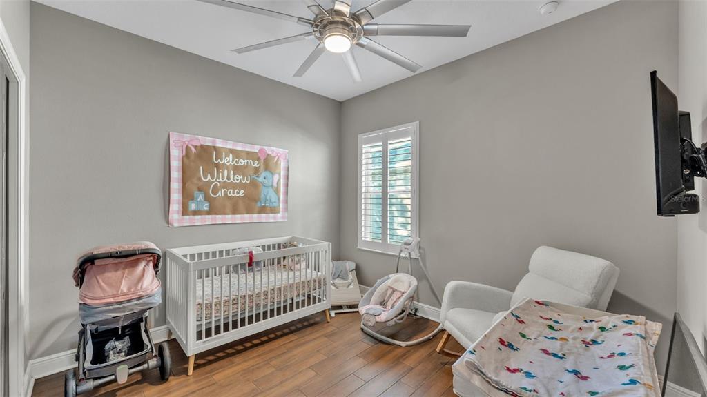 6247 Hawk Grove Court Wesley Chapel, FL 33545 - Photo 27 of 48