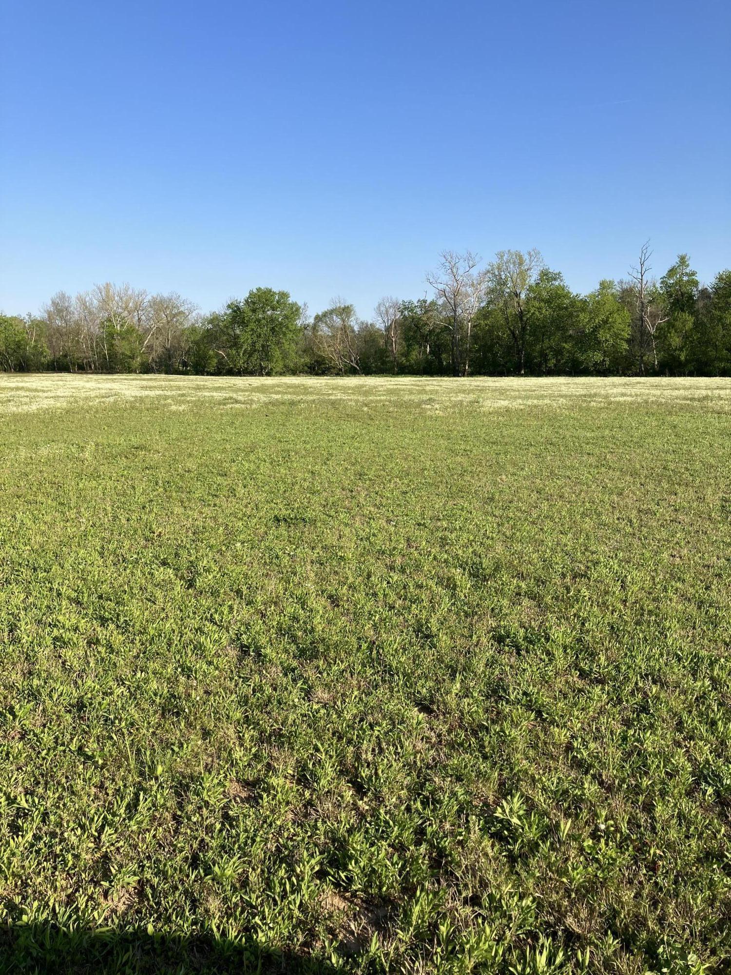 1537 Bethany Road Nicholasville, KY 40356 - Photo 3 of 4 Tract 2C