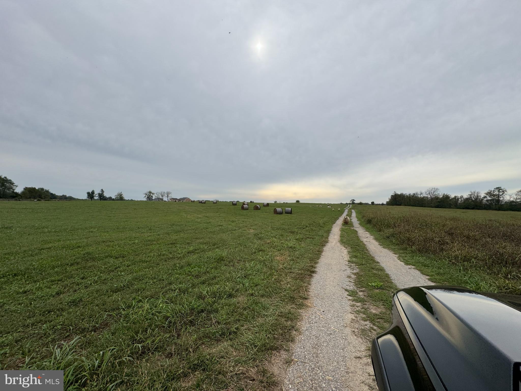 Serene country road under a cloudy sky.