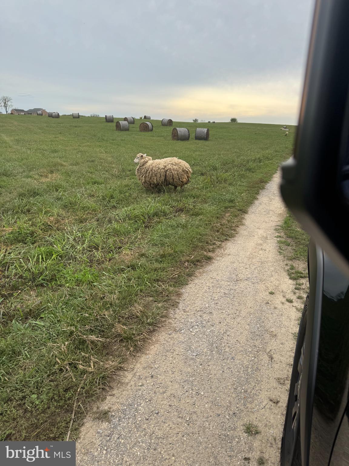 1196 Van Clevesville Road Kearneysville, WV 25430 - Photo 11 of 11 a view of a lake with a mountain in the background