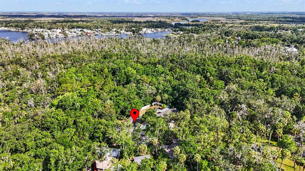 4586 Flambeau Loop Homosassa, FL 34448 - Photo 65 of 80