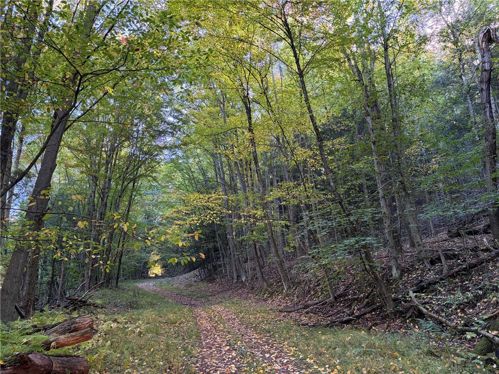 9319 Nouvou Road Genesee, NY 14770 - Photo 48 of 50 Gallery Image 48