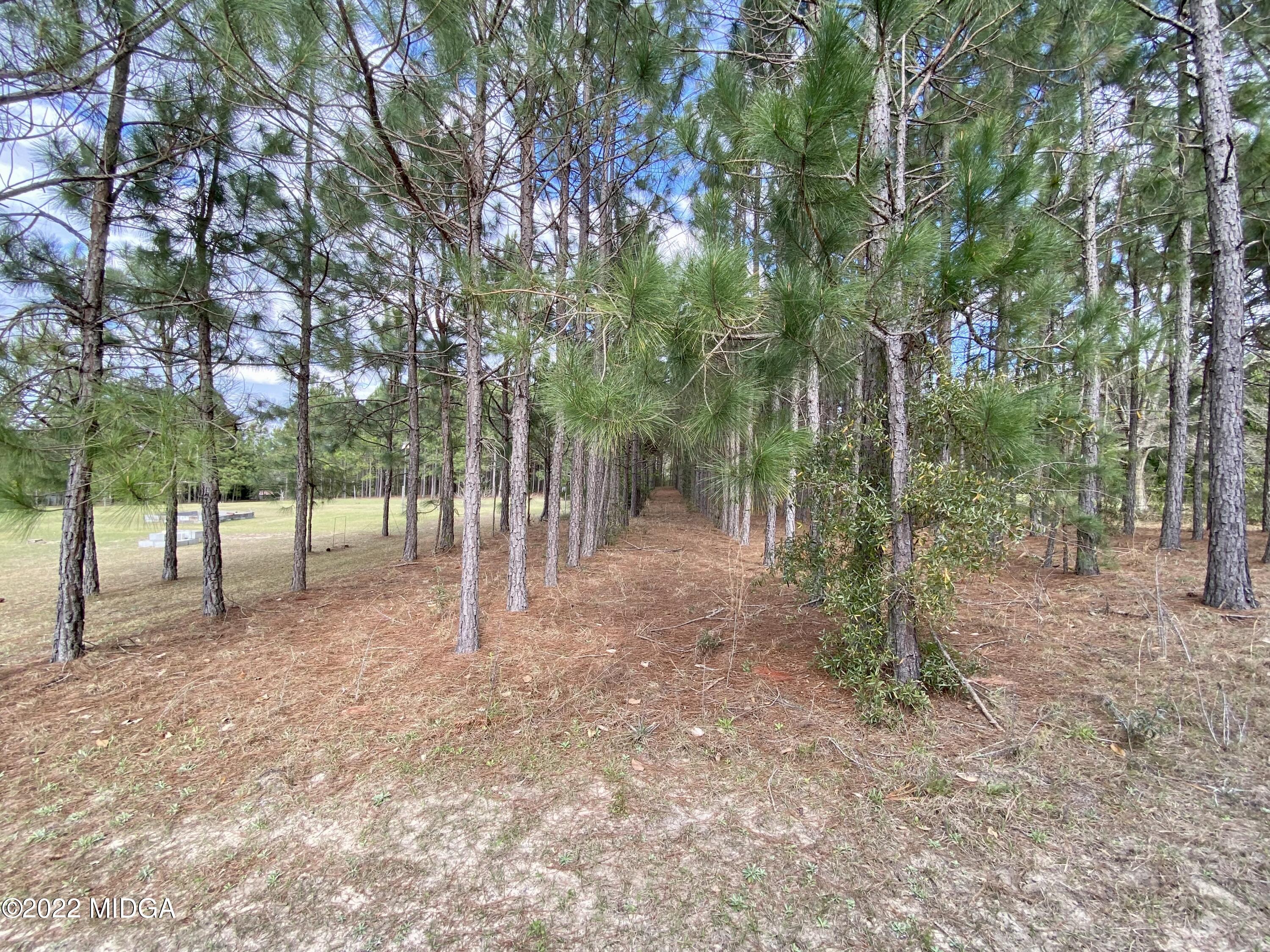4368 Dixon Road Lizella, GA 31052 - Photo 34 of 41 IMG_4825