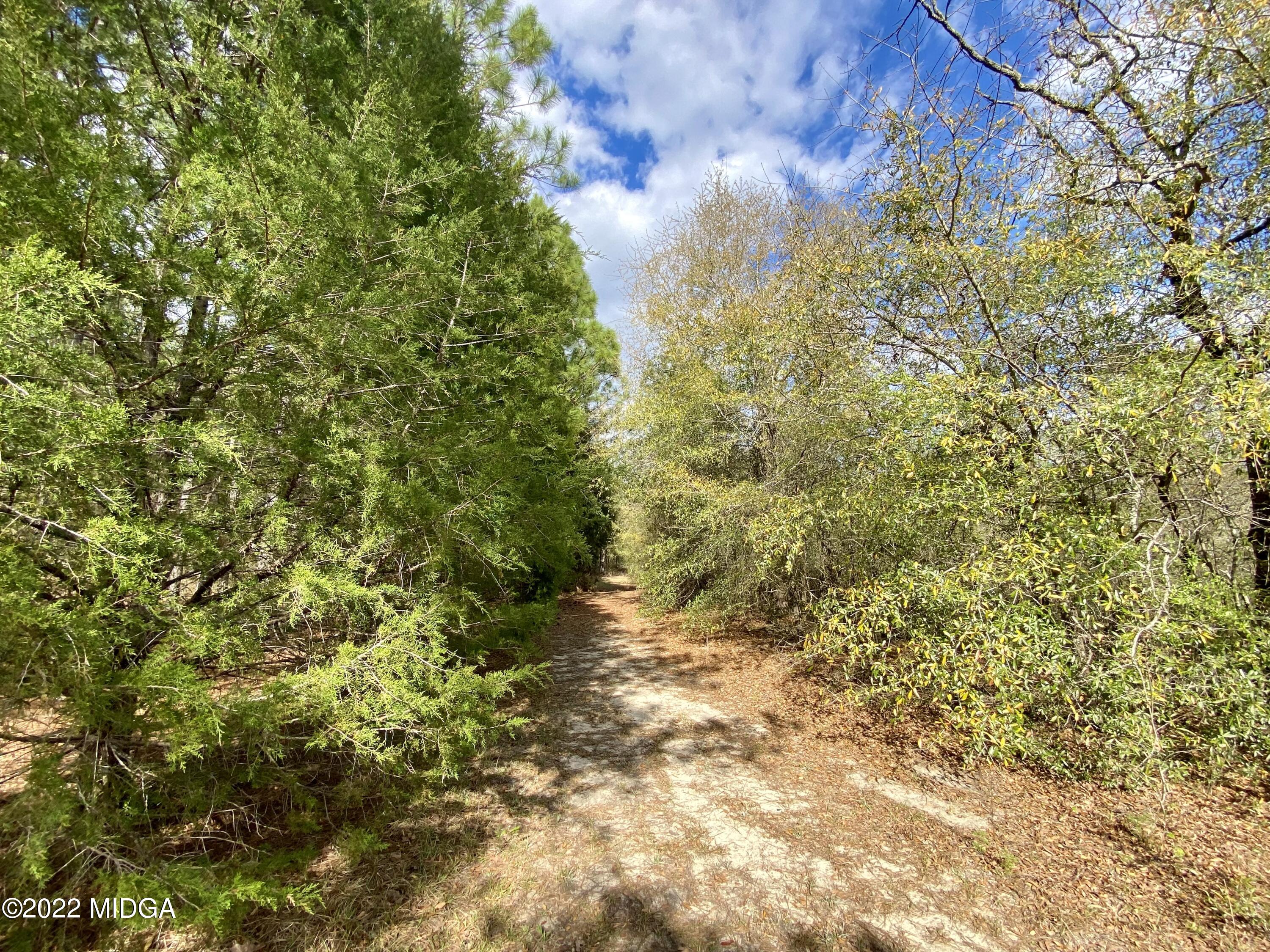 4368 Dixon Road Lizella, GA 31052 - Photo 36 of 41 IMG_4833