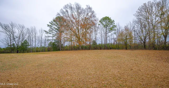 $350,000 | 259 East Cobbville Drive, Canton, MS 39046