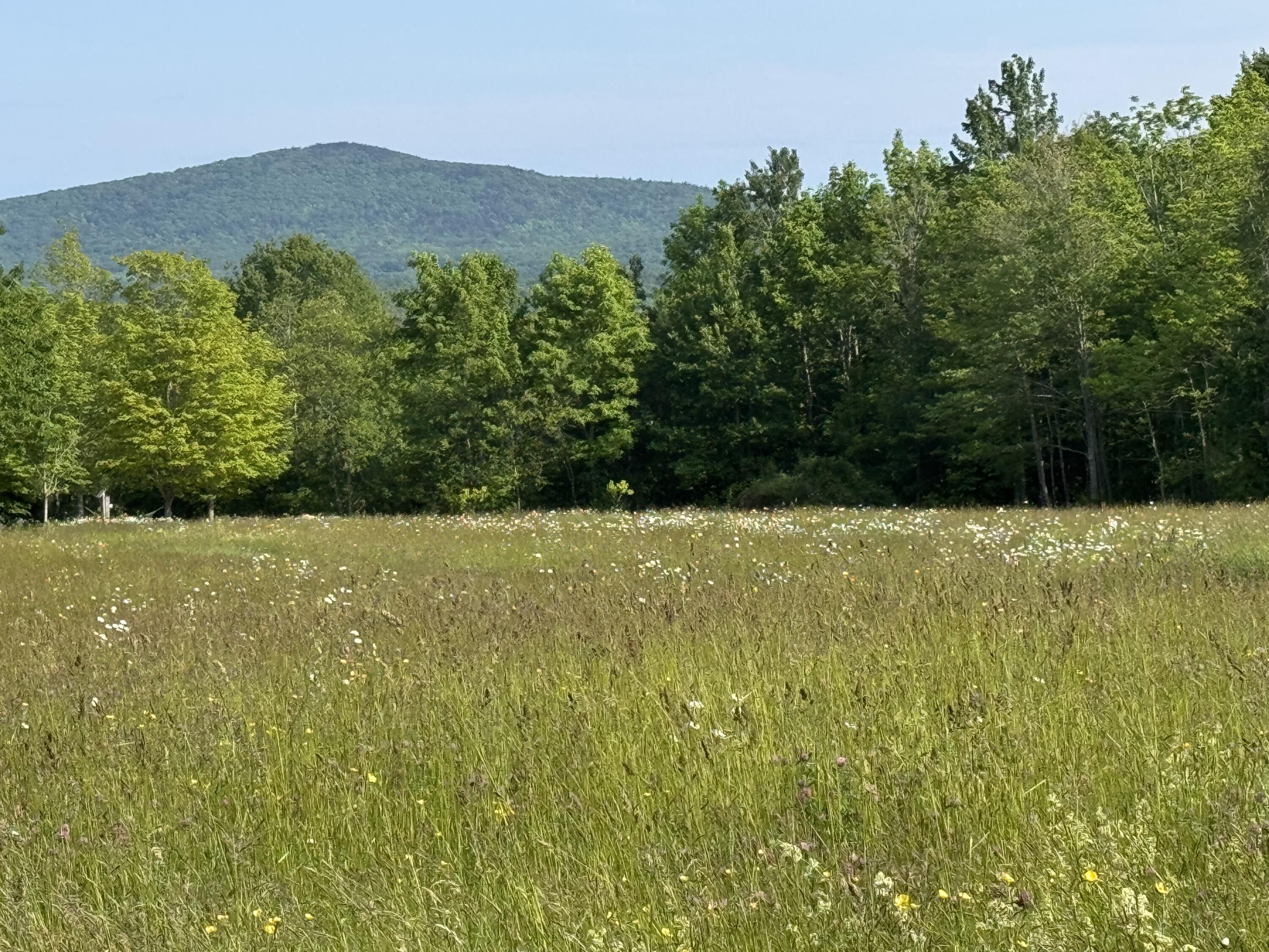 2351 Belfast Road Lincolnville, ME 04849 - Photo 3 of 9 IMG_4281