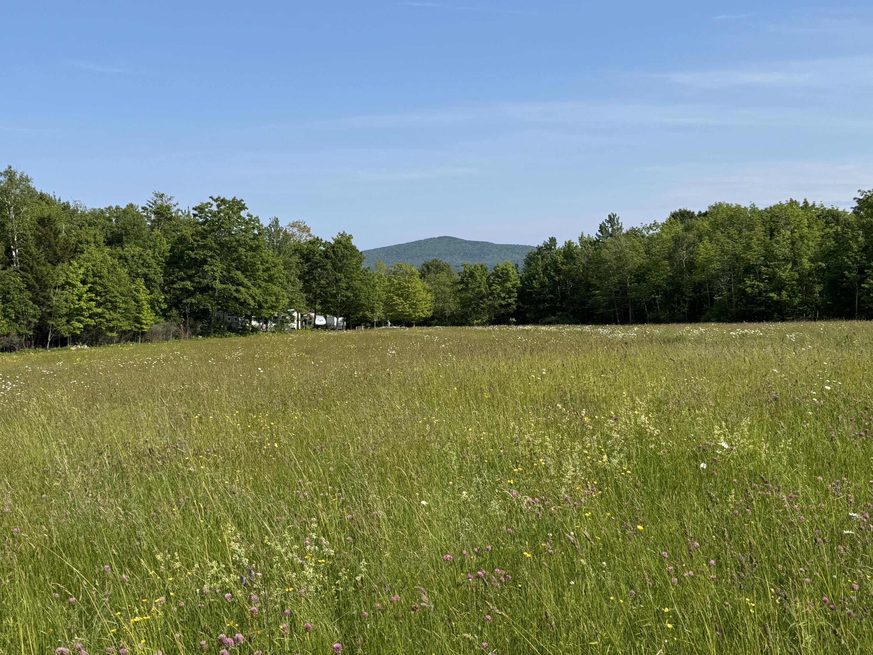 2351 Belfast Road Lincolnville, ME 04849 - Photo 4 of 9 IMG_4282