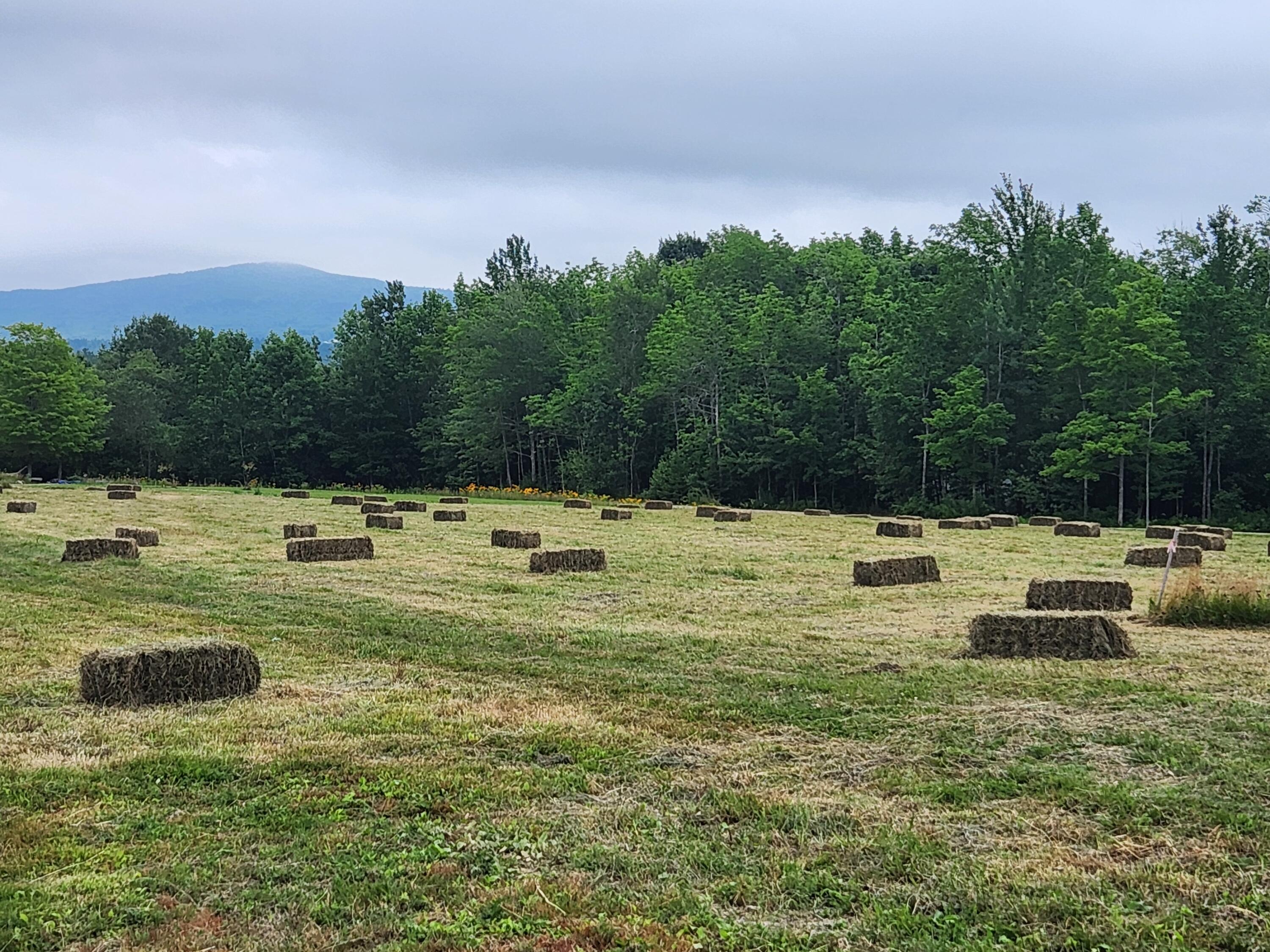 2351 Belfast Road Lincolnville, ME 04849 - Photo 7 of 9 20250717_151020