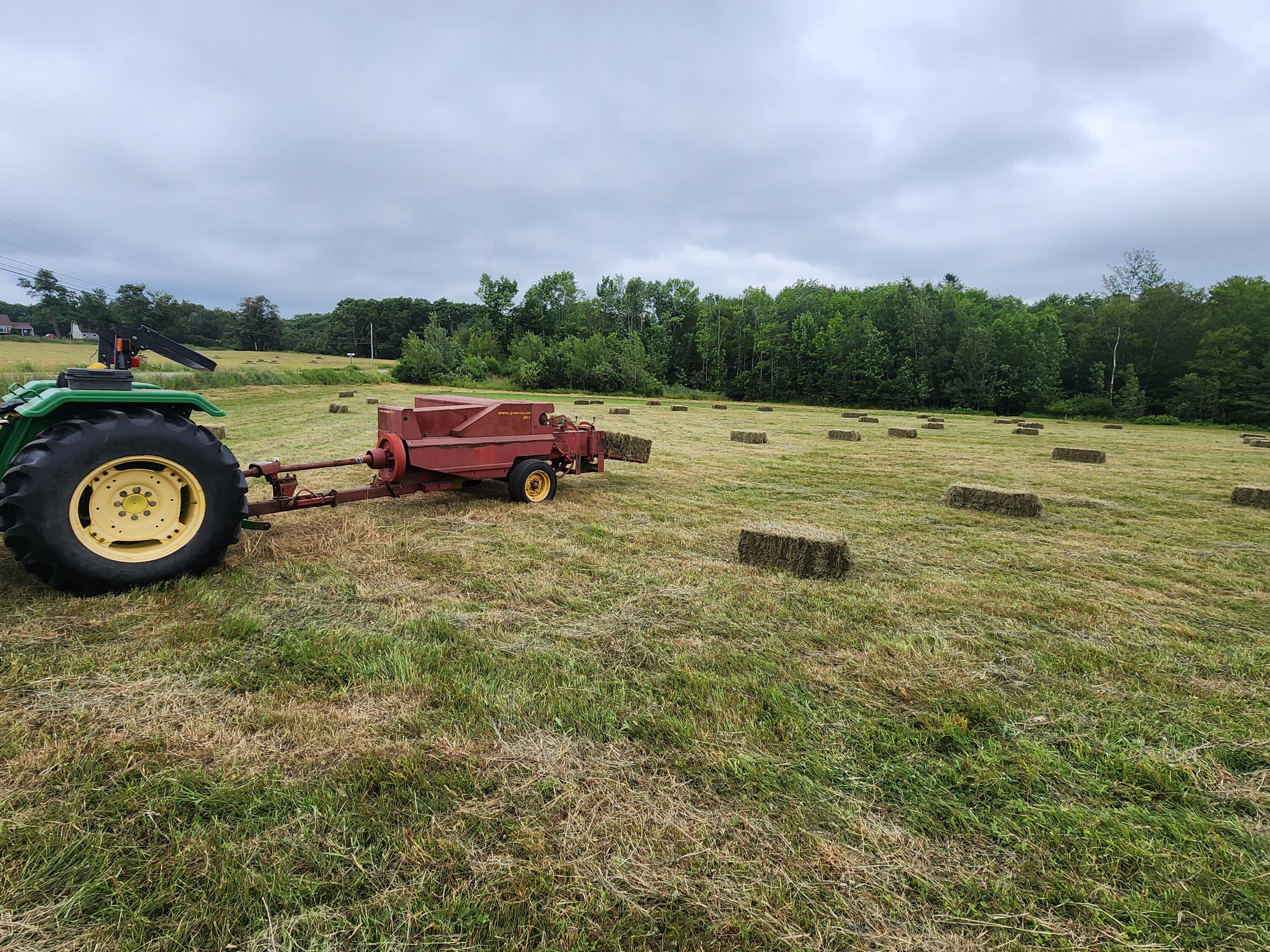 2351 Belfast Road Lincolnville, ME 04849 - Photo 8 of 9 20250717_151031