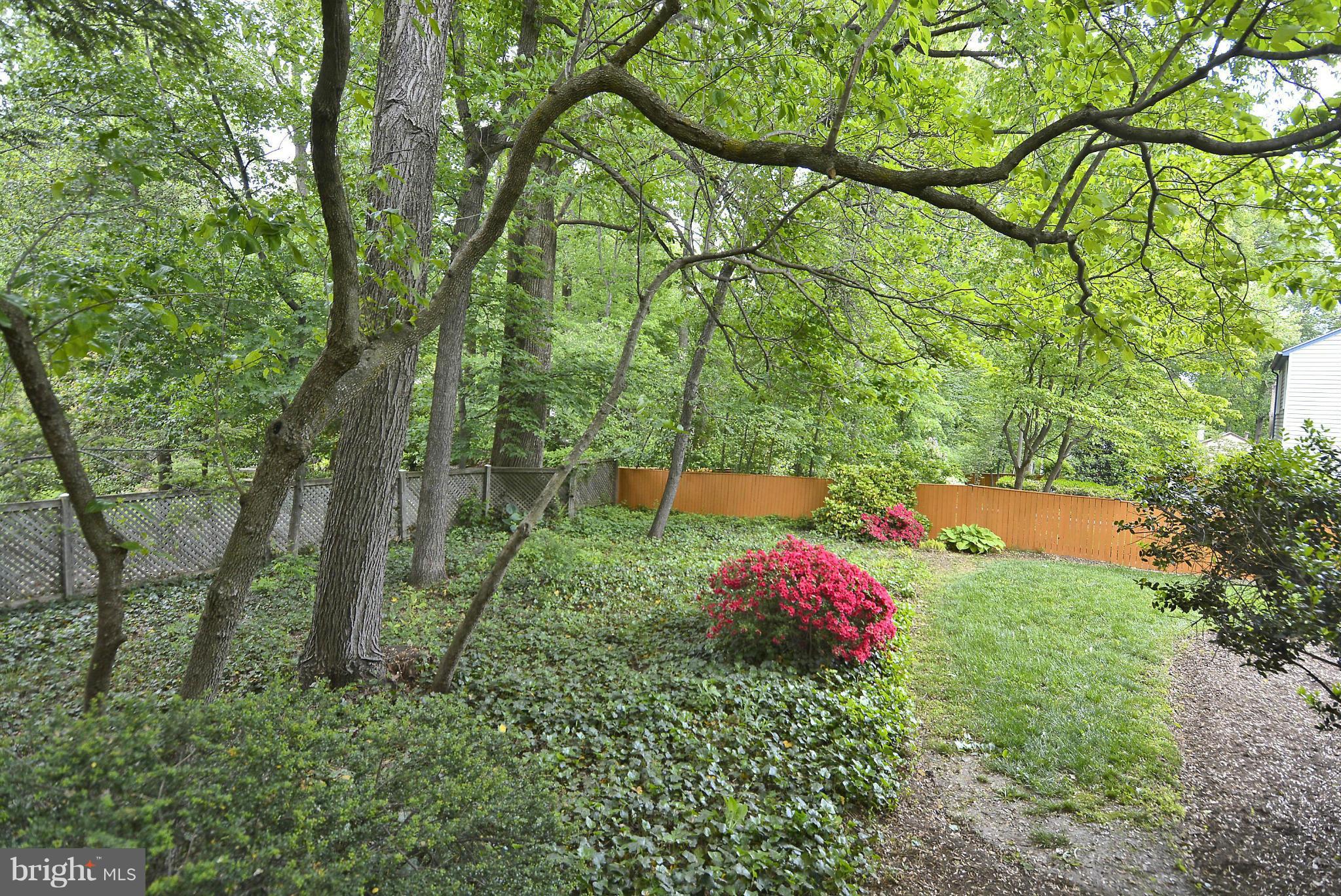 11822 Riders Lane Reston, VA 20191 - Photo 25 of 29 View