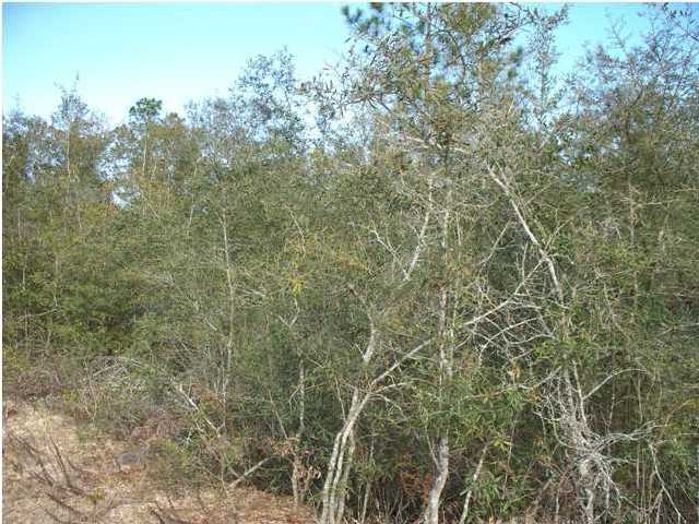 0 Sam Jordan Road Crestview, FL 32536 - Photo 1 of 7 Gallery Image 1