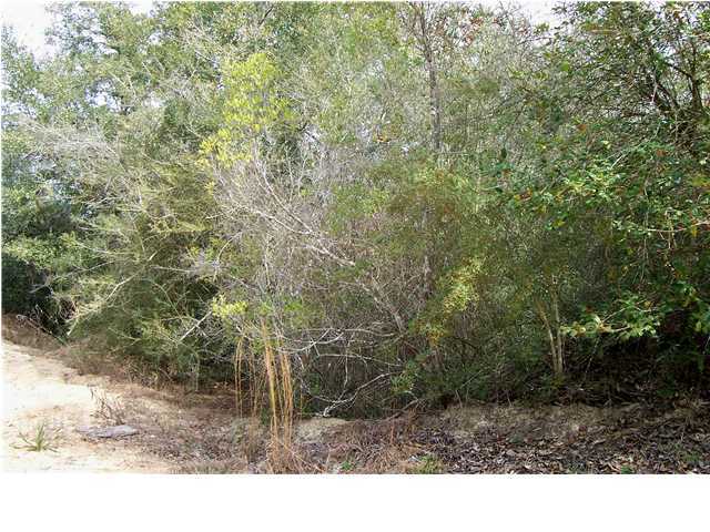 0 Sam Jordan Road Crestview, FL 32536 - Photo 3 of 7 Gallery Image 3