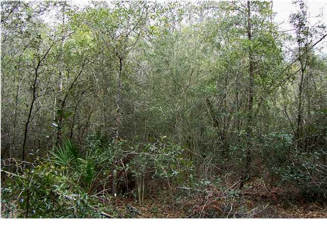 0 Sam Jordan Road Crestview, FL 32536 - Photo 6 of 7 Gallery Image 6