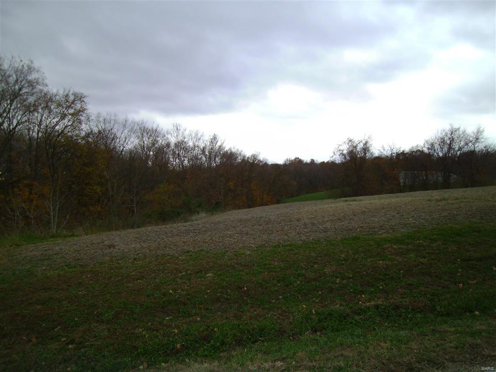 0 Kane Hill Road Ellis Grove, IL 62241 - Photo 2 of 5