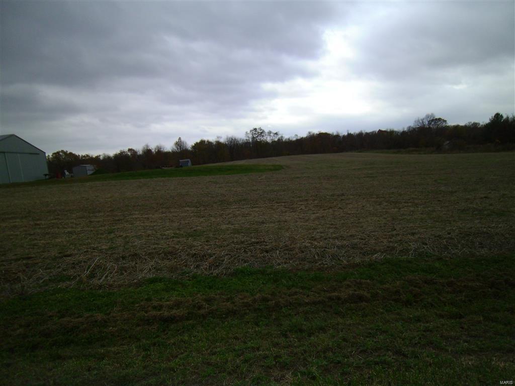 0 Kane Hill Road Ellis Grove, IL 62241 - Photo 4 of 5