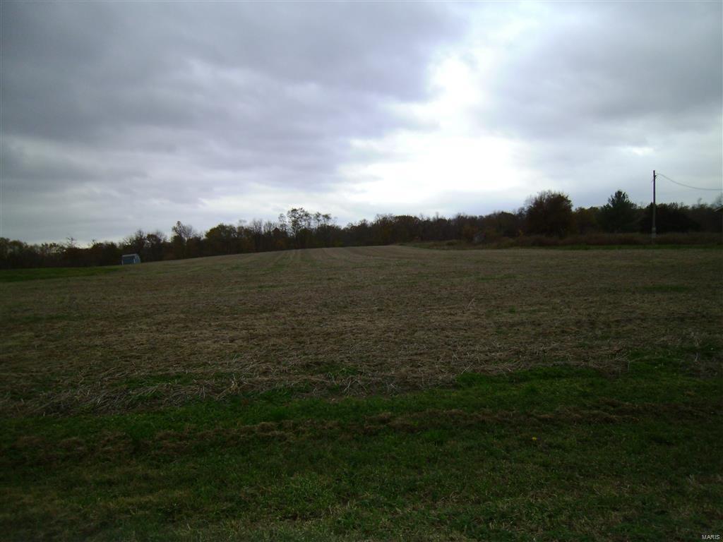 0 Kane Hill Road Ellis Grove, IL 62241 - Photo 5 of 5