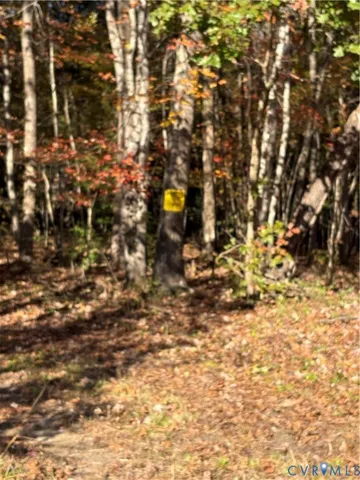 a view of a backyard of the house