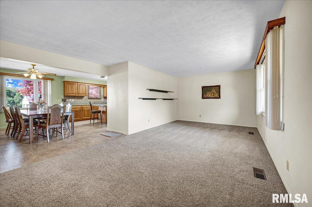 5929 North Heinz Lane Edwards, IL 61528 - Photo 6 of 35 Gallery Image 6